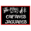 Parche Bordado CAIFANES Rock