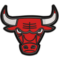 Espaldera Bordada CHICAGO BULLS