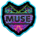 Parche Bordado MUSE Rock