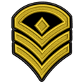 Parche Bordado INSIGNIA MILITAR